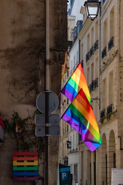 Paris 'teki eski binanın köşesinde LGBTQ bayrakları var. Transseksüel Gurur bayrağı