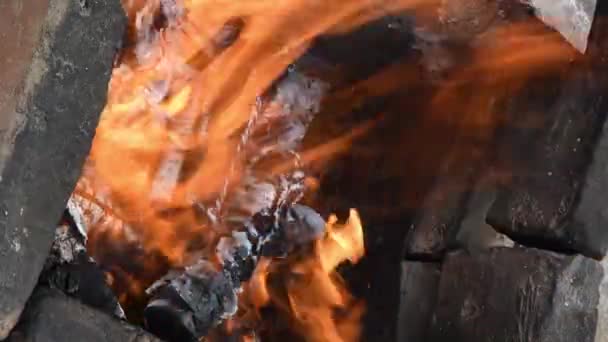 Campfire fiammeggiante in camino rustico all'aperto in campagna — Video Stock