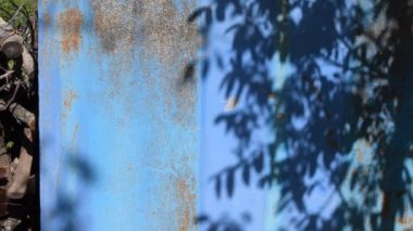 Paslı mavi arkaplanda kopyalanmış boşlukta çırpınan ağacın gölge deseni