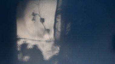 Arka plan için duvardaki asma yapraklarının gizemli gölgelerinin kopyalanması