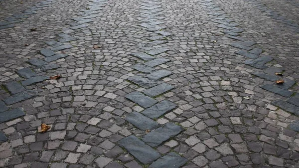 Cobblestone pavimentado textura del camino con hojas de otoño — Foto de Stock