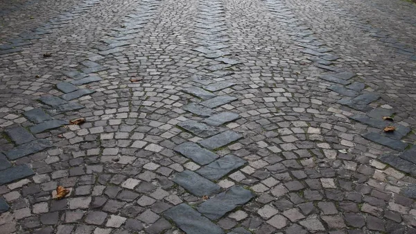 Cobblestone pavimentou a textura da estrada com folhas da queda — Fotografia de Stock