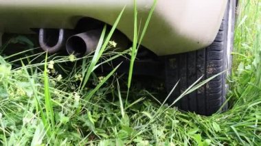 Yabani otların arasında tüten egzoz borusu