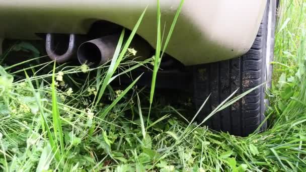 Fumar tubo de escape entre grama selvagem offroad — Vídeo de Stock