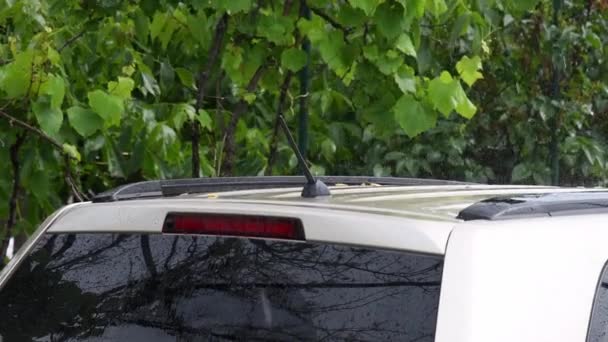 Gouttes de pluie dégoulinant par le toit de la voiture avec le feuillage de raisin humide balancent dans le vent — Video