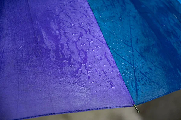 Borde de paraguas azul púrpura con radios metálicos — Foto de Stock
