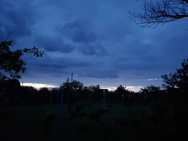 Halloween noc pozadí tmavě modré zatažené oblohy a větve stromů — Stock fotografie