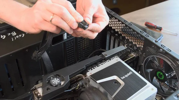 İnsan elleri işlemci soğutucusu ve NVidia GeForce grafik kartını kurar ve monte eder