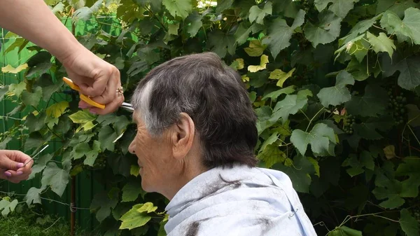 Руки стригут волосы на виске старушки с наполовину седой короткой стрижкой — стоковое фото