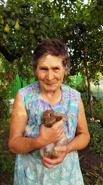 80s leeftijd oma met huisdier konijn in boerderij tuin — Stockfoto