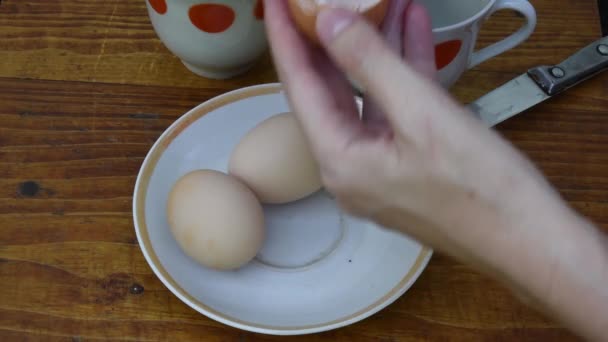 Las manos separan la yema de huevo cruda en mitades de cáscara de huevo — Vídeo de stock