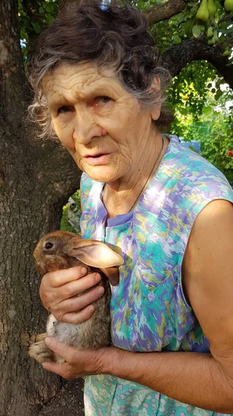 손에 귀여운 토끼를 들고 있는 80 대 할머니의 모습 — 스톡 사진