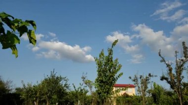 Mavi gökyüzü ve beyaz bulutların geçtiği zaman aşımına uğramış bahçe manzarası