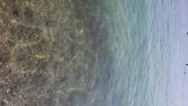 小石の底のビデオの背景の上の純粋な海の水の風景 — ストック動画