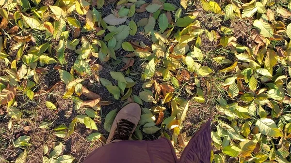 POV足でハイキングブーツステップによって秋の葉オン地面 — ストック写真