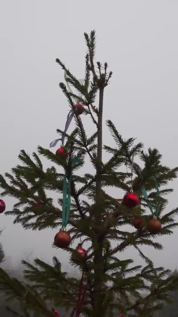 Christmas ornaments hanging on fir tree top swaying by wind in mist — Stock Video