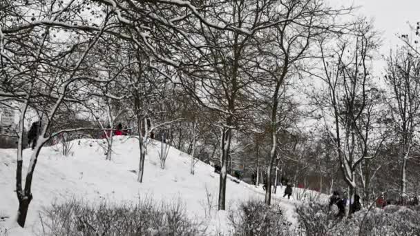 Χρόνος λήξης των ανθρώπων έλκηθρο ιππασία σε χιονισμένη πλαγιά στο χειμερινό πάρκο — Αρχείο Βίντεο