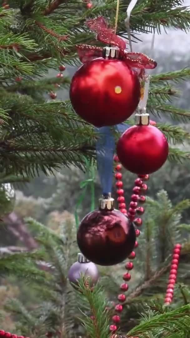 Röda och bronsfärgade julbollar hänger på gran grenar av julgran utomhus — Stockvideo