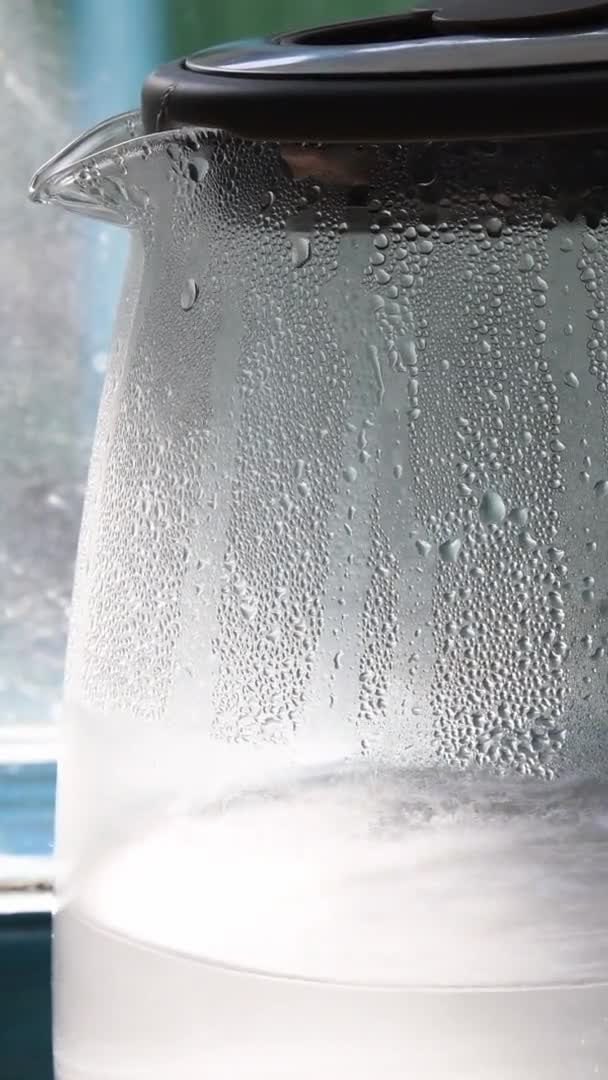 Vroucí voda uvnitř průhledné konvice u kuchyňského okna — Stock video