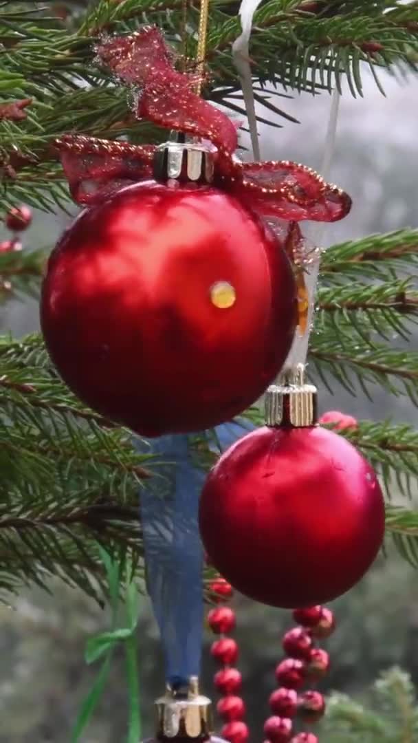 Κόκκινες μπάλες Χριστουγέννων κρέμονται σε κλαδιά έλατος του χριστουγεννιάτικου δέντρου σε εξωτερικούς χώρους — Αρχείο Βίντεο