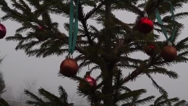 Roter Weihnachtsschmuck hängt an Tanne und wiegt sich im Nebel im Wind — Stockvideo