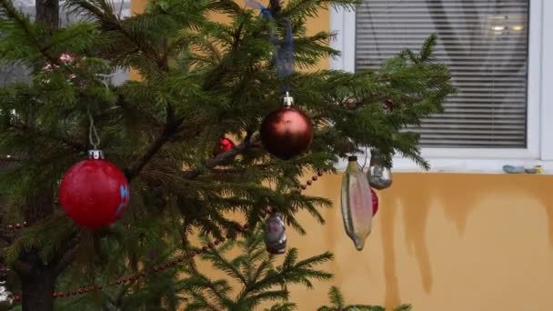 Eski mücevherler ve kırmızı Noel topları sarı evin arka bahçesindeki Noel ağacında sallanıyor. — Stok video