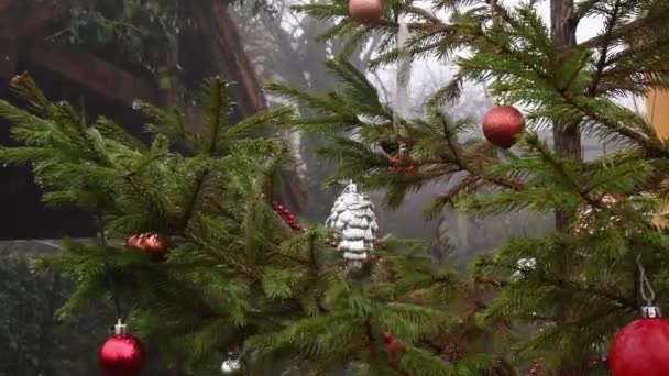 Świąteczne ozdoby wiszące na gałęziach jodły kołyszą się wiatrem we mgle — Wideo stockowe