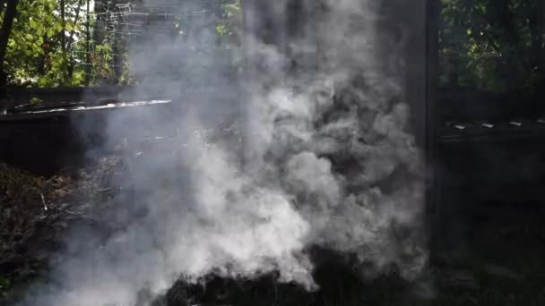 Rök bakgrund utomhus över högen av torkade grenar ved — Stockvideo