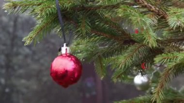 Noel ağacının köknar dalında asılı duran kırmızı noel balosu.