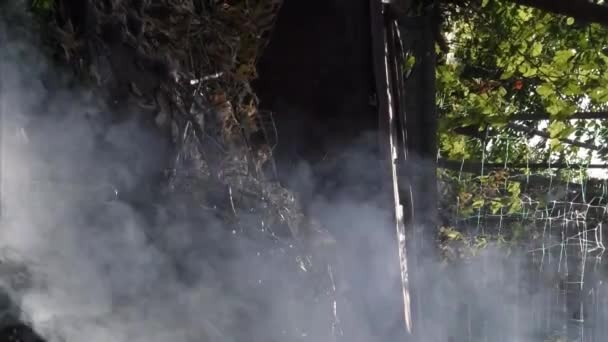 Υπόβαθρο καπνού σε εξωτερικούς χώρους πάνω από σωρό αποξηραμένα φύλλα το φθινόπωρο — Αρχείο Βίντεο