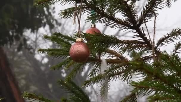 Raindrops on bronze colored Christmas balls hanging at Christmas tree under rain — Stock Video