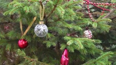Eski takılar ve kırmızı Noel topları Noel ağacında sallanıyor