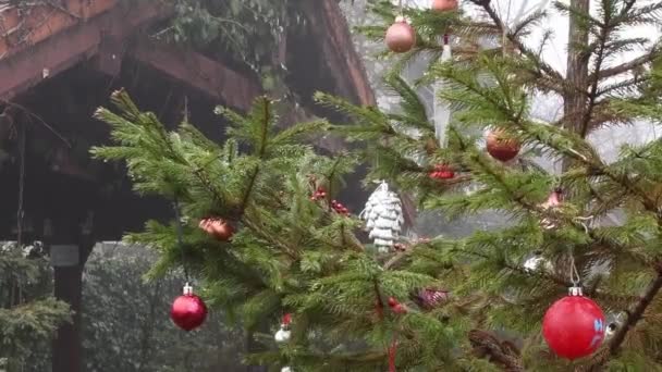 Weihnachtsschmuck hängt an Tanne und schwankt im Nebel im Wind — Stockvideo