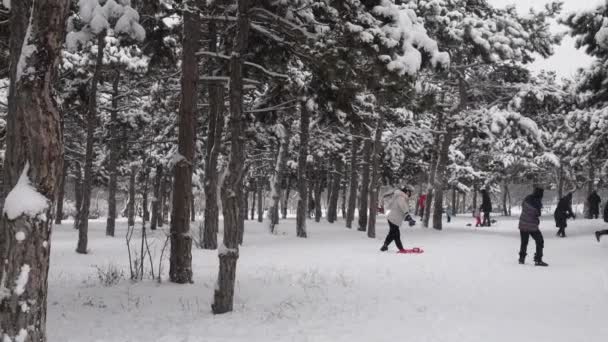 Οι άνθρωποι περπατούν και διασκεδάζουν στο χειμερινό πάρκο με πεύκα καλυμμένα με χιόνι — Αρχείο Βίντεο