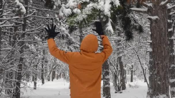 Pessoa irreconhecível puxar galho de pinho para cair neve — Vídeo de Stock
