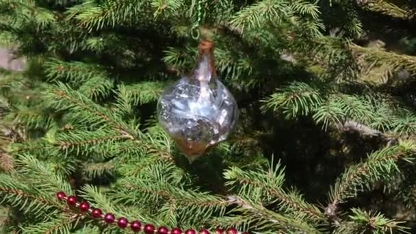 Ročník sklo cetka s lesklým stříbrným cínsel uvnitř visí na vánoční strom jedle větve — Stock video