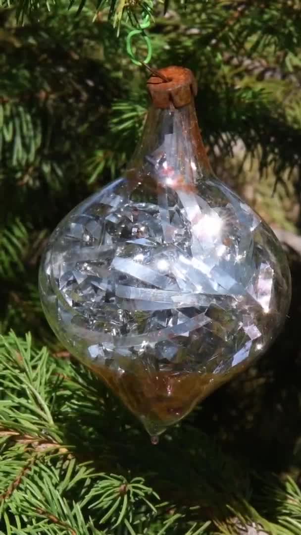 Bola de cristal vintage con oropel de plata brillante en el interior colgando de ramas de abeto árbol de Navidad — Vídeos de Stock