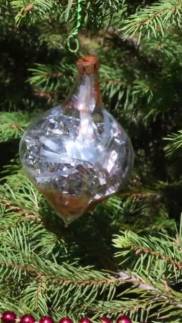 Vintage-Glaskugel mit silbrig glänzendem Lametta im Inneren hängt an Tannenzweigen des Weihnachtsbaums — Stockvideo