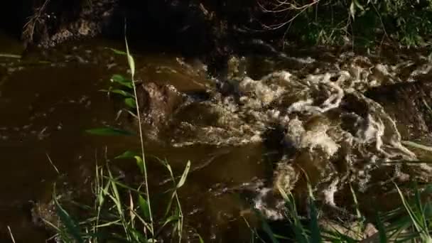 Moutain folyó sáros vize folyik gránit sziklák között, miközben árvíz katasztrófa — Stock videók