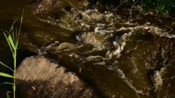 Agua sucia burbujeante del río que fluye entre rocas de granito mientras el desastre de inundación — Vídeos de Stock