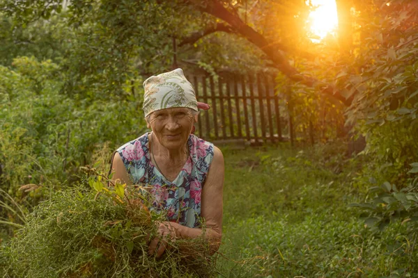 雑草の束を保持している農村部の服で陽気先輩女性は雑草の後 ストックフォト