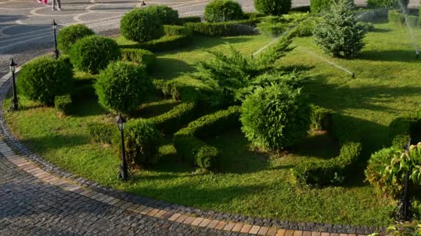 Trädgårdssprinklers roterar och sprutar vatten till anlagd trädgård — Stockvideo