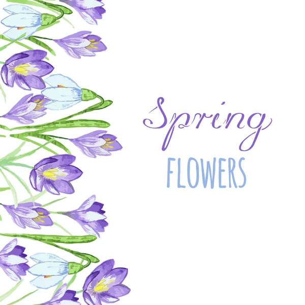 Cedo primavera roxo crocus e nevadas natureza beleza flores vetor . — Vetor de Stock