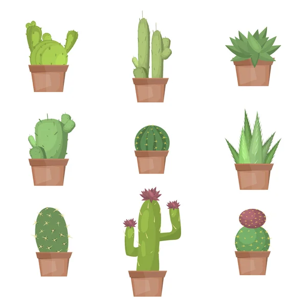 Colección de cactus en ilustración vectorial — Vector de stock