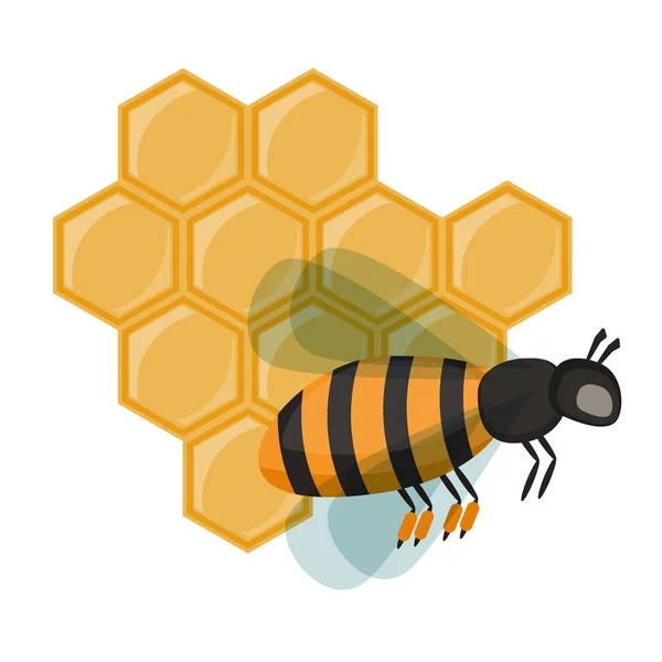 Inseto mel abelha isolado no vetor branco . —  Vetores de Stock