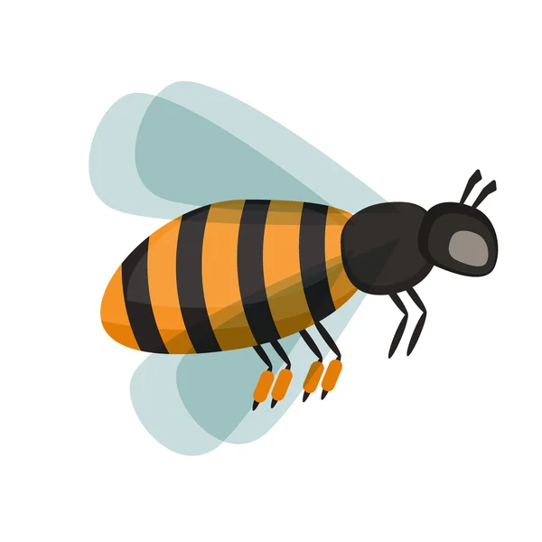 Honey bee vector illustration. — Stock Vector