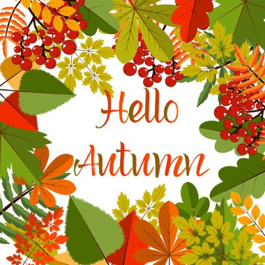 Beyaz akçaağaç sonbahar zemin üzerine boş bırakır.