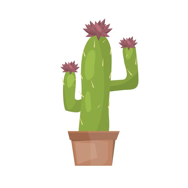 Vector aislado de cactus sobre fondo blanco . — Vector de stock