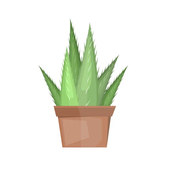 Vector aislado de cactus sobre fondo blanco . — Vector de stock