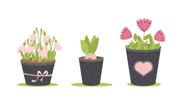 Fleurs de printemps en pots, Isolé sur fond blanc, Illustration vectorielle — Image vectorielle